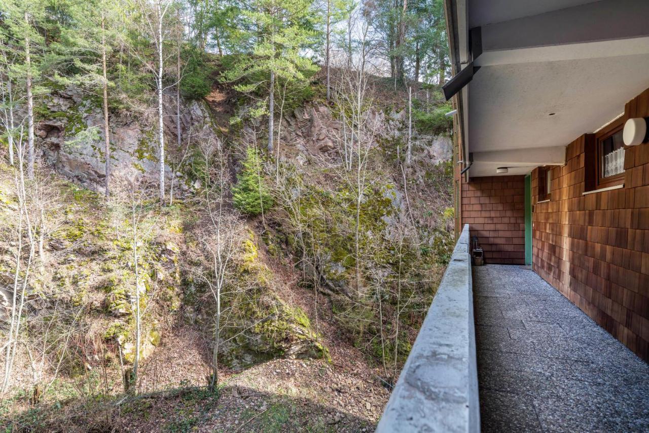 Schwarzwald Woelkchen Appartement Baiersbronn Buitenkant foto